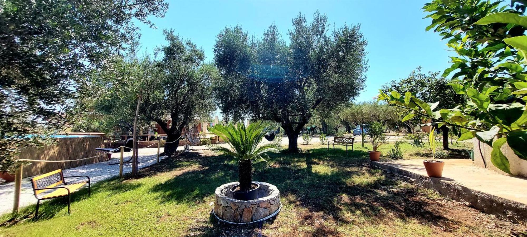 Parco Esmeralda - Family Residence E Breakfast Marina di Camerota Exterior foto